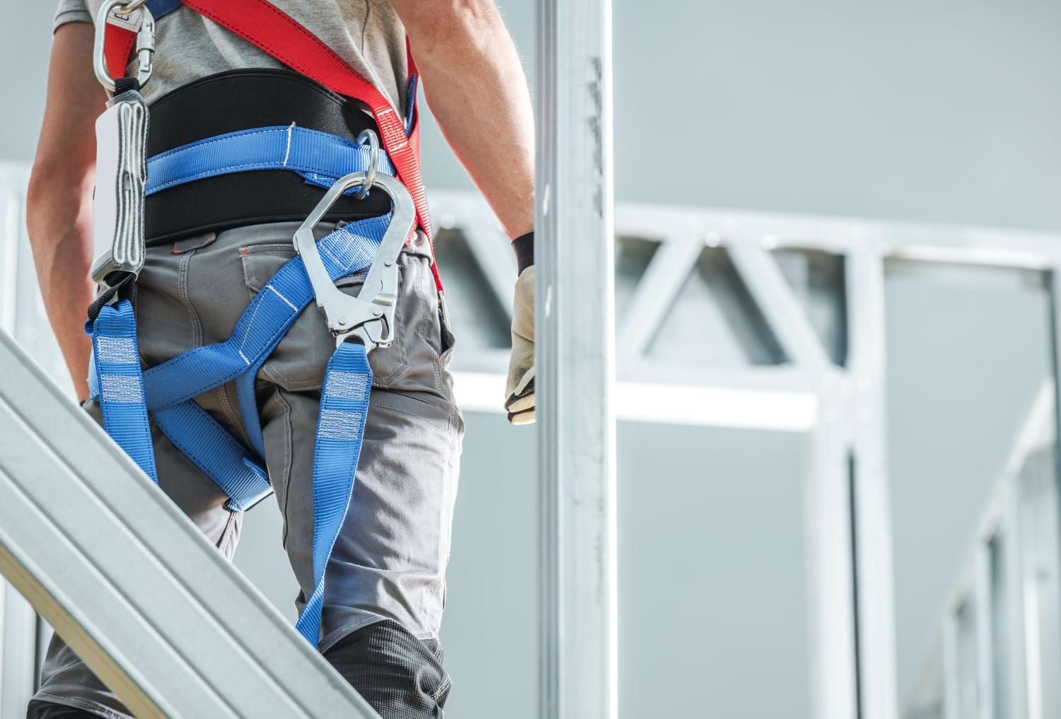 fall protection harnesses